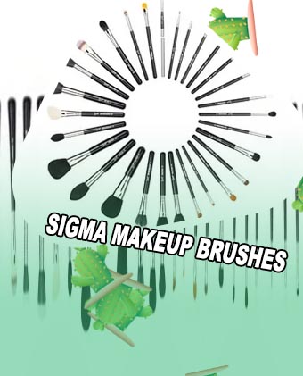 Best of sigma brush set