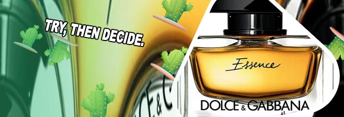 Dolce gabbana the one