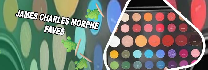 James charles makeup brush set