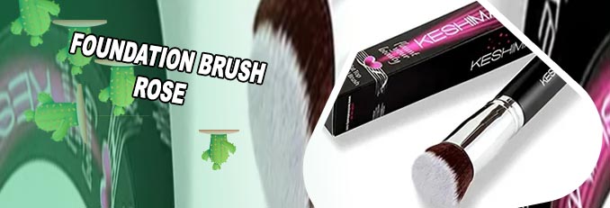 Kabuki brush