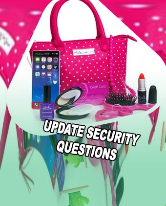 Make up kit bag