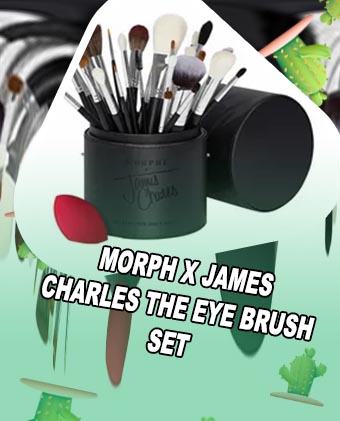 Morphe brush set james charles